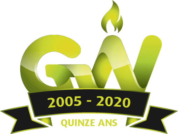 Géant du web | Quinze ans